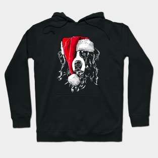 Funny Bernese Mountain Dog Santa Christmas dog Hoodie